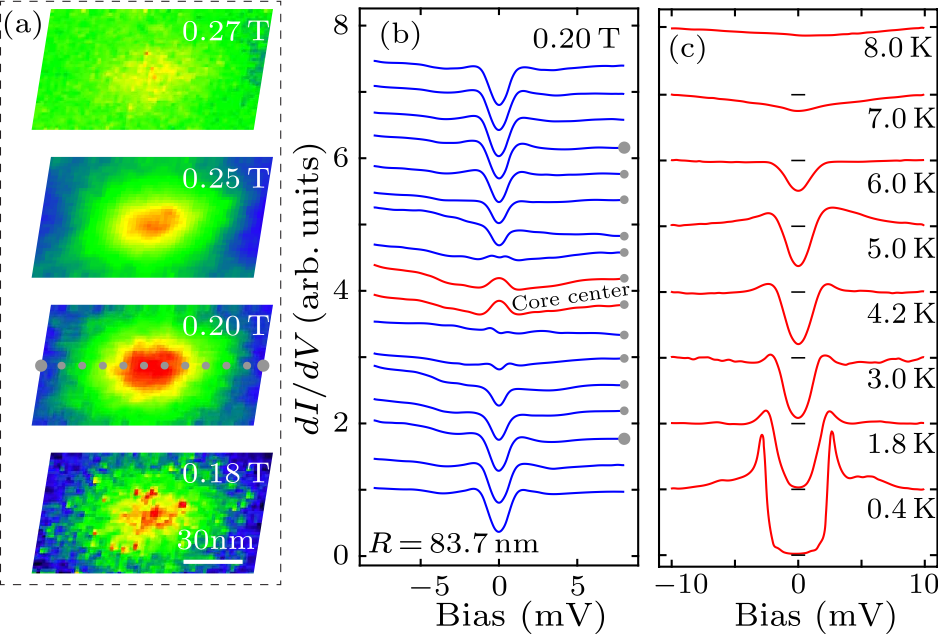 cpl-37-1-017402-fig3.png