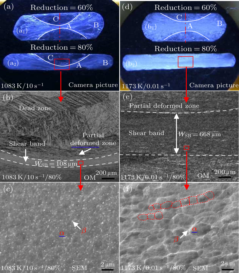 cpl-37-11-116201-fig4.png