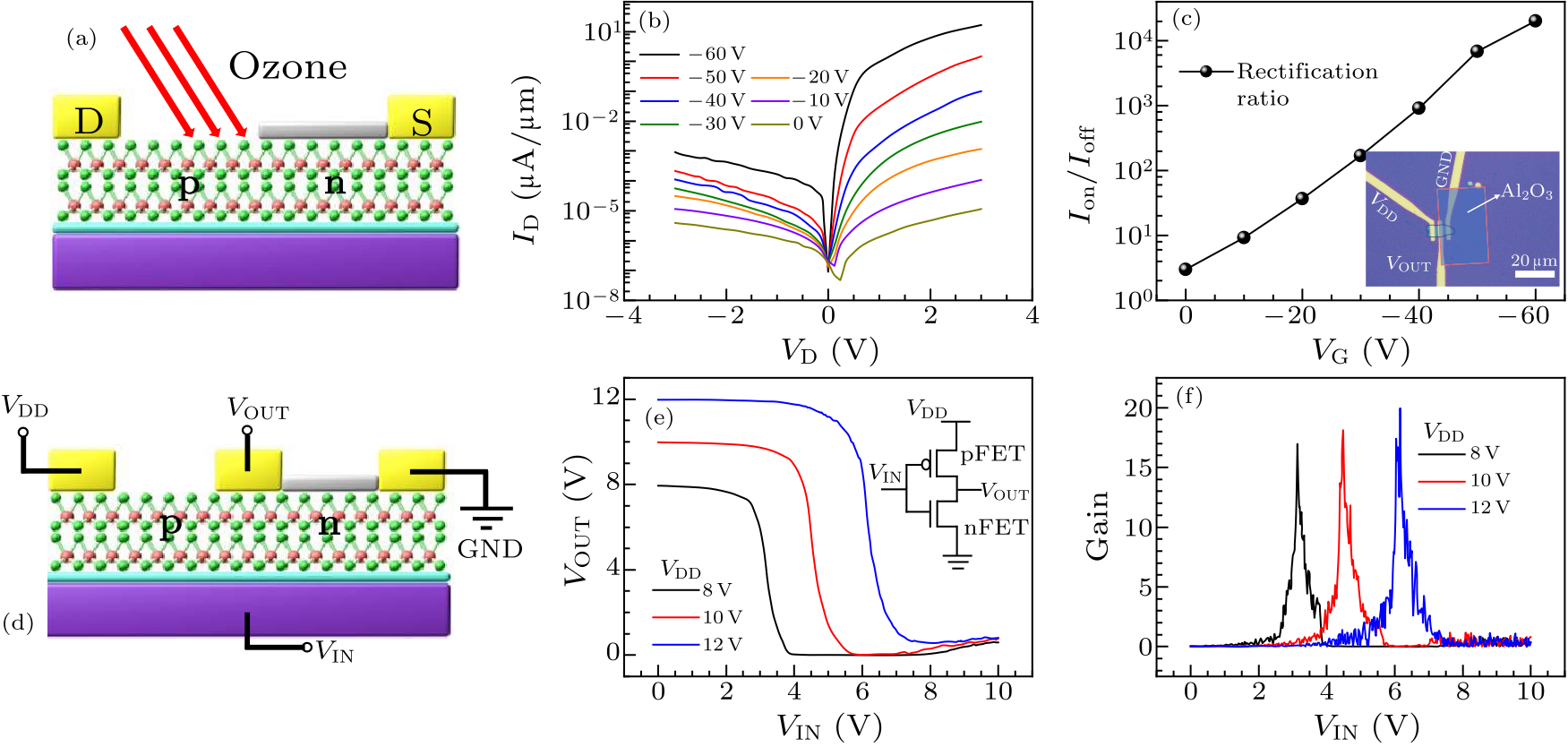 cpl-37-11-118501-fig4.png