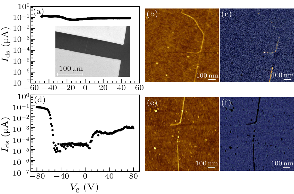 cpl-37-2-028101-fig3.png