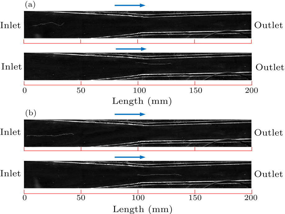 cpl-37-3-034201-fig2.png