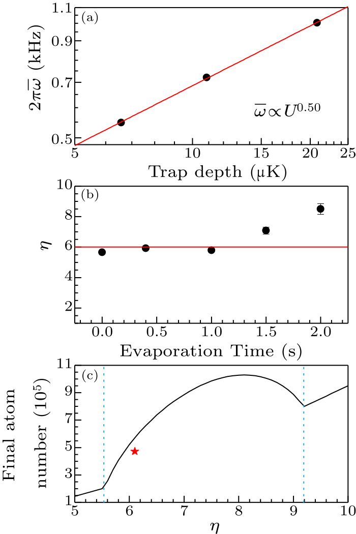 cpl-37-3-036701-fig5.png