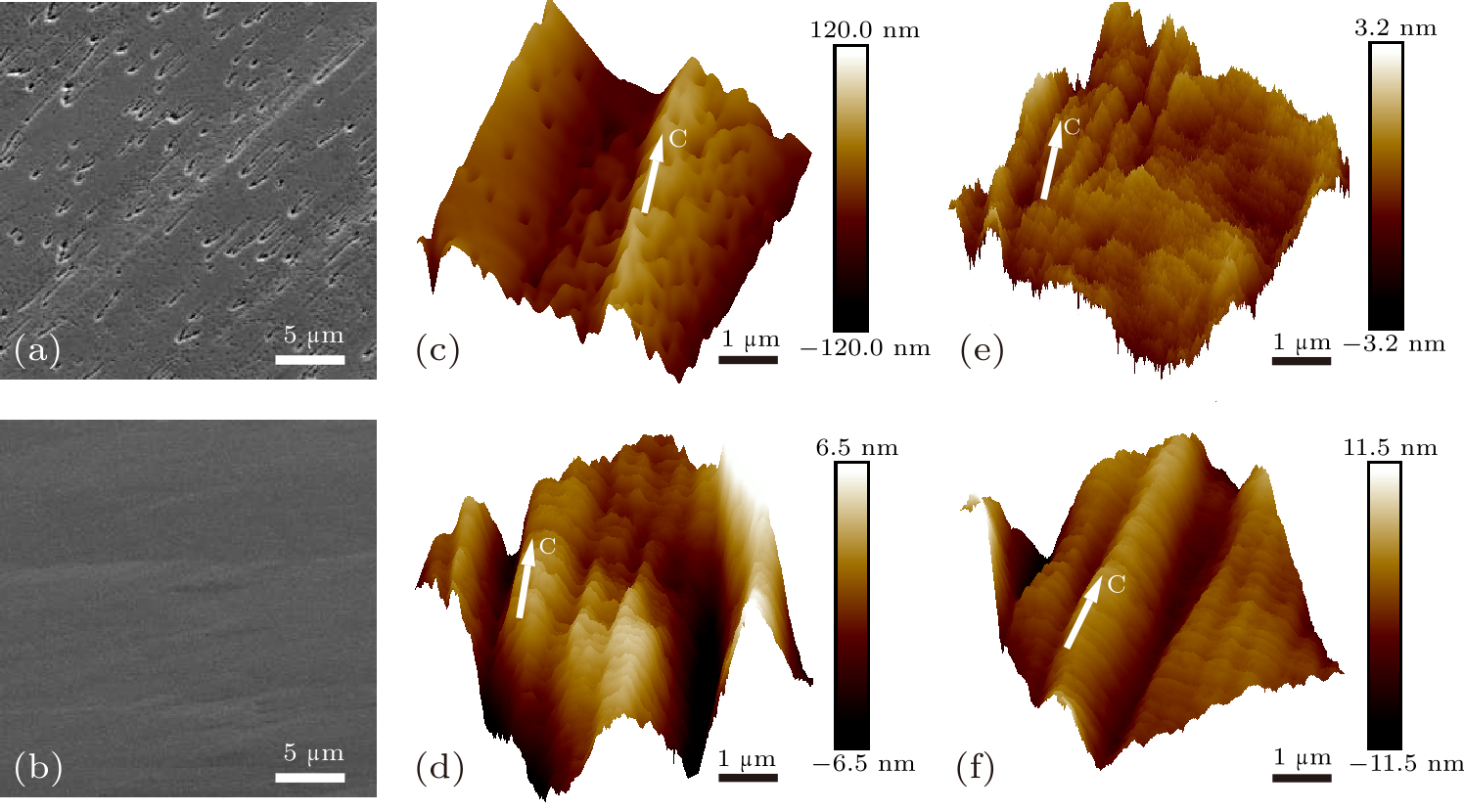 cpl-37-3-038102-fig5.png