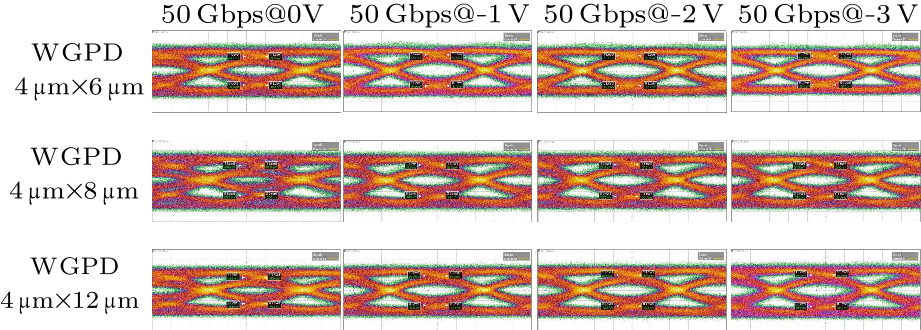 cpl-37-3-038503-fig6.png