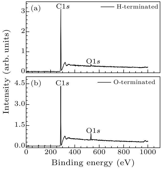 cpl-37-4-046801-fig4.png