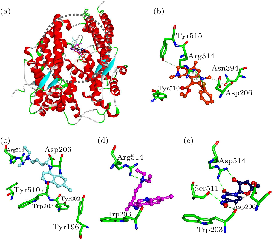 cpl-37-5-058701-fig2.png