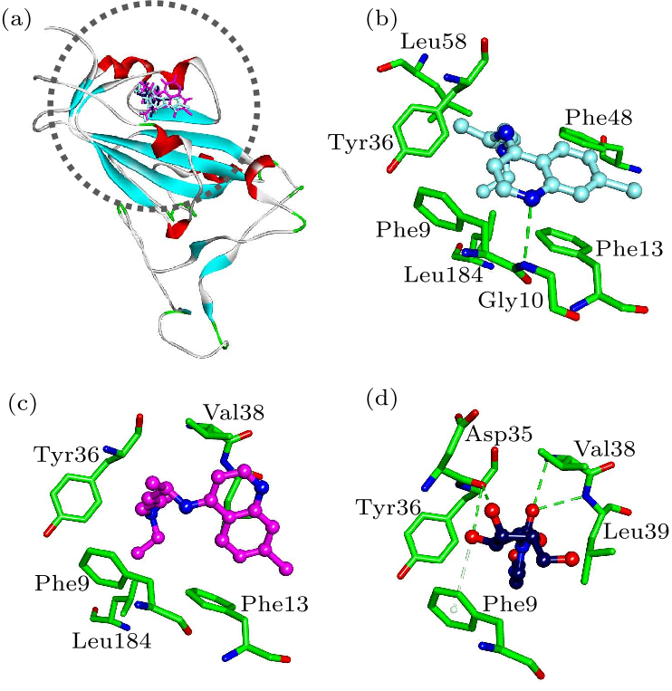 cpl-37-5-058701-fig3.png