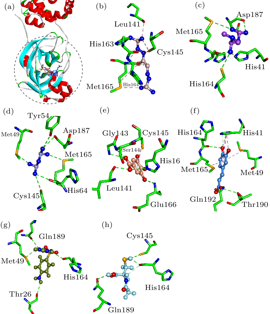 cpl-37-5-058701-fig4.png