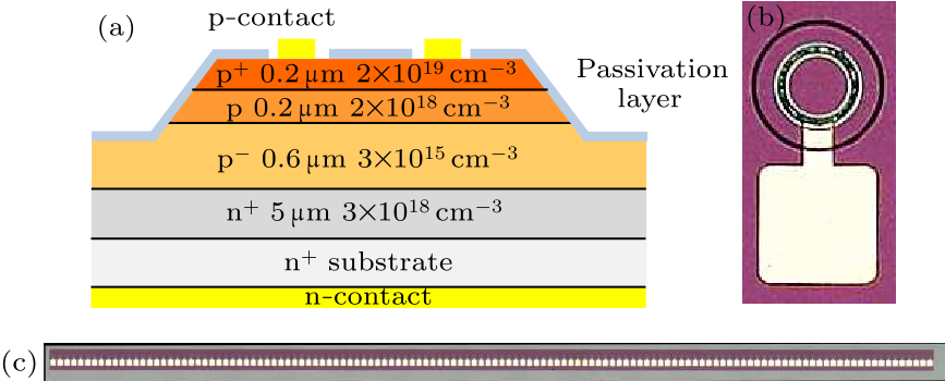 cpl-37-6-068502-fig1.png