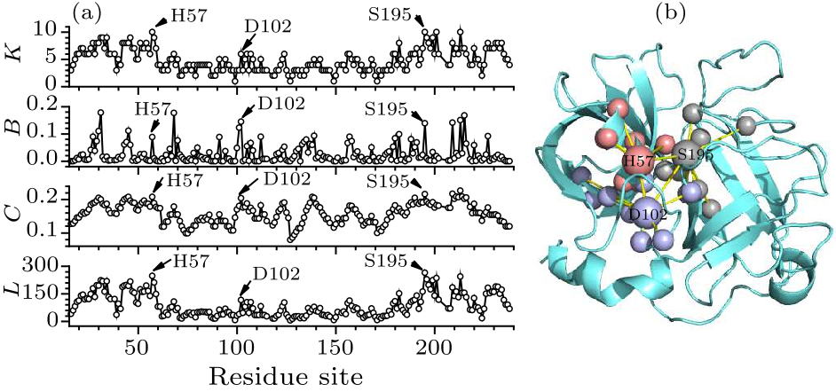 cpl-37-6-068701-fig2.png