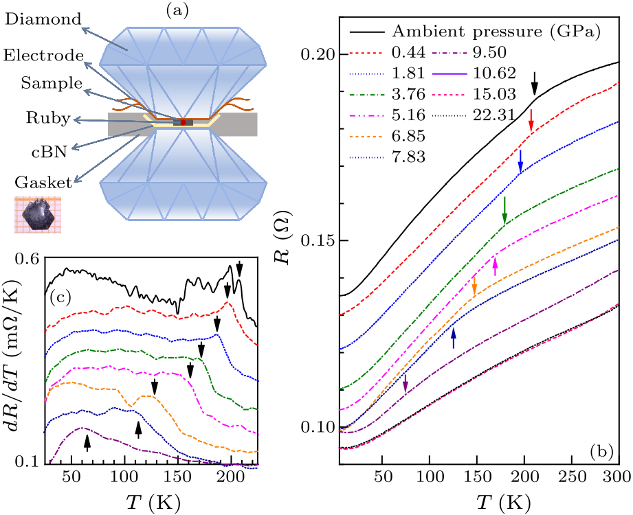 cpl-37-7-076202-fig2.png