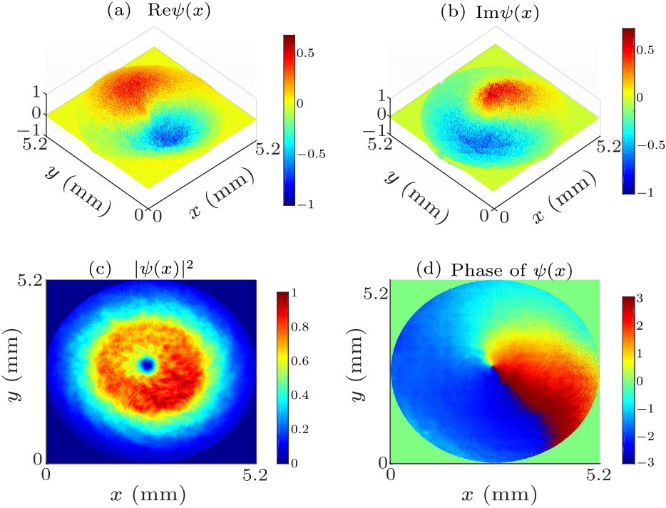 cpl-37-8-080301-fig3.png