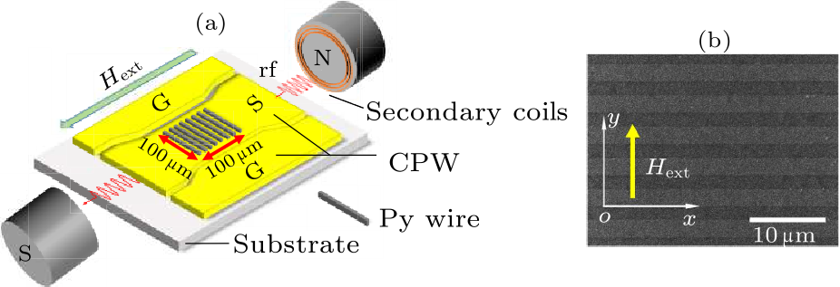 cpl-37-8-087503-fig1.png