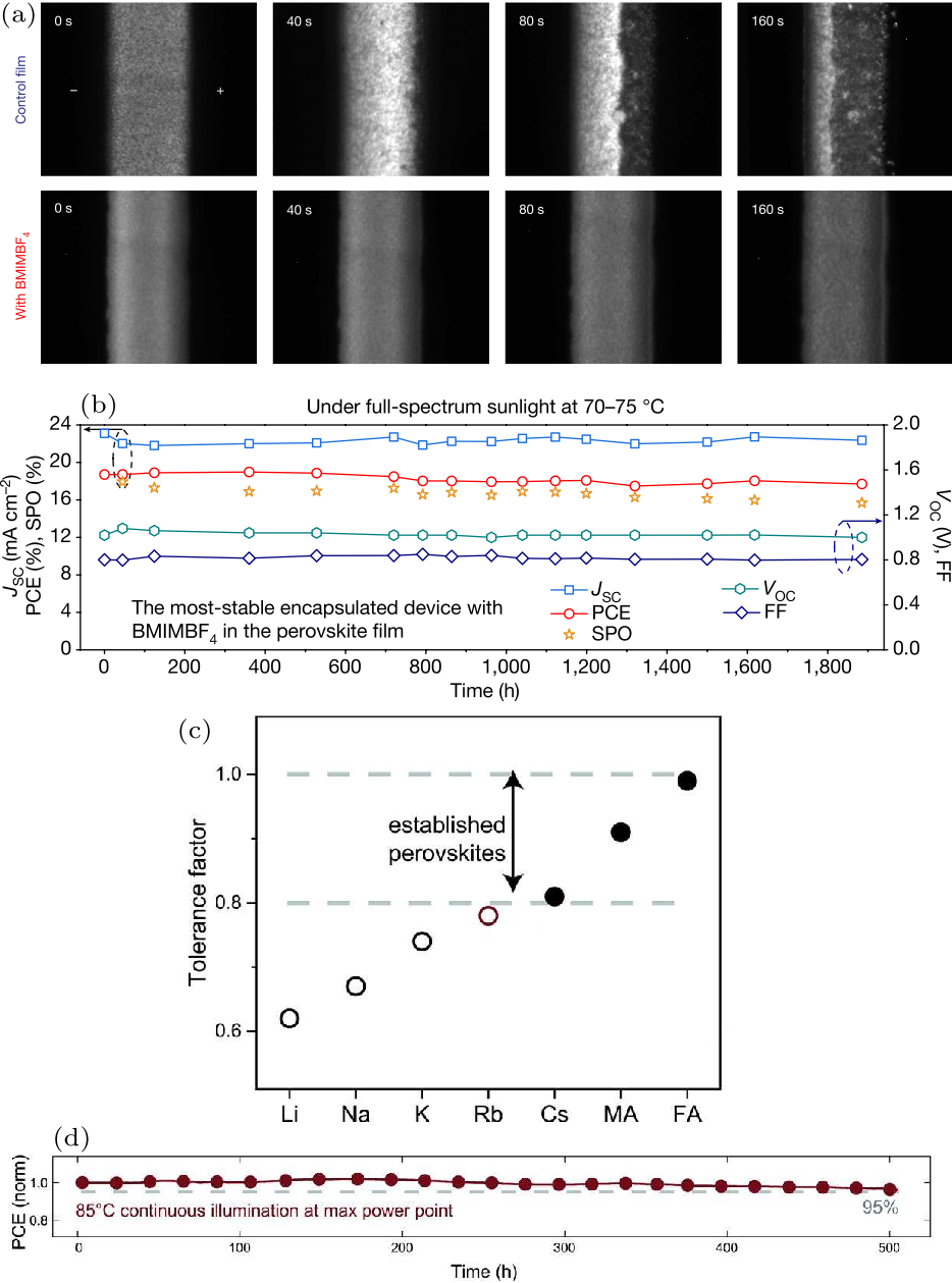 cpl-38-10-107801-fig10.png