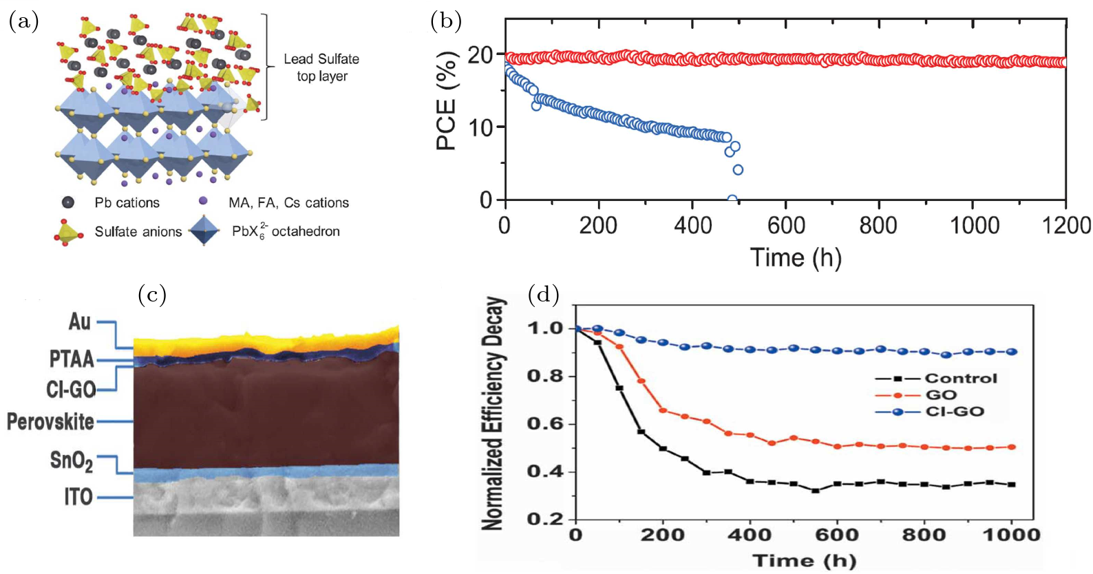 cpl-38-10-107801-fig11.png