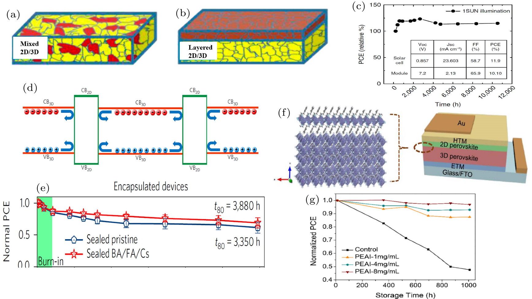 cpl-38-10-107801-fig12.png