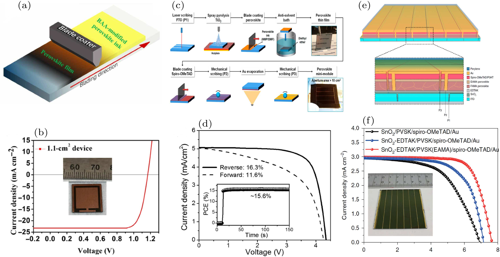 cpl-38-10-107801-fig14.png