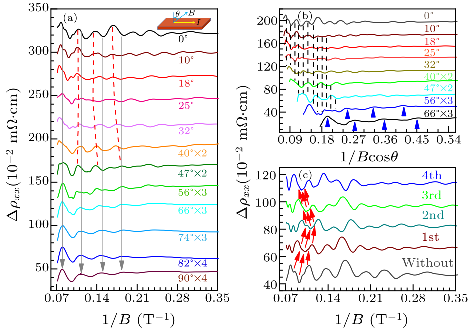 cpl-38-4-047201-fig4.png