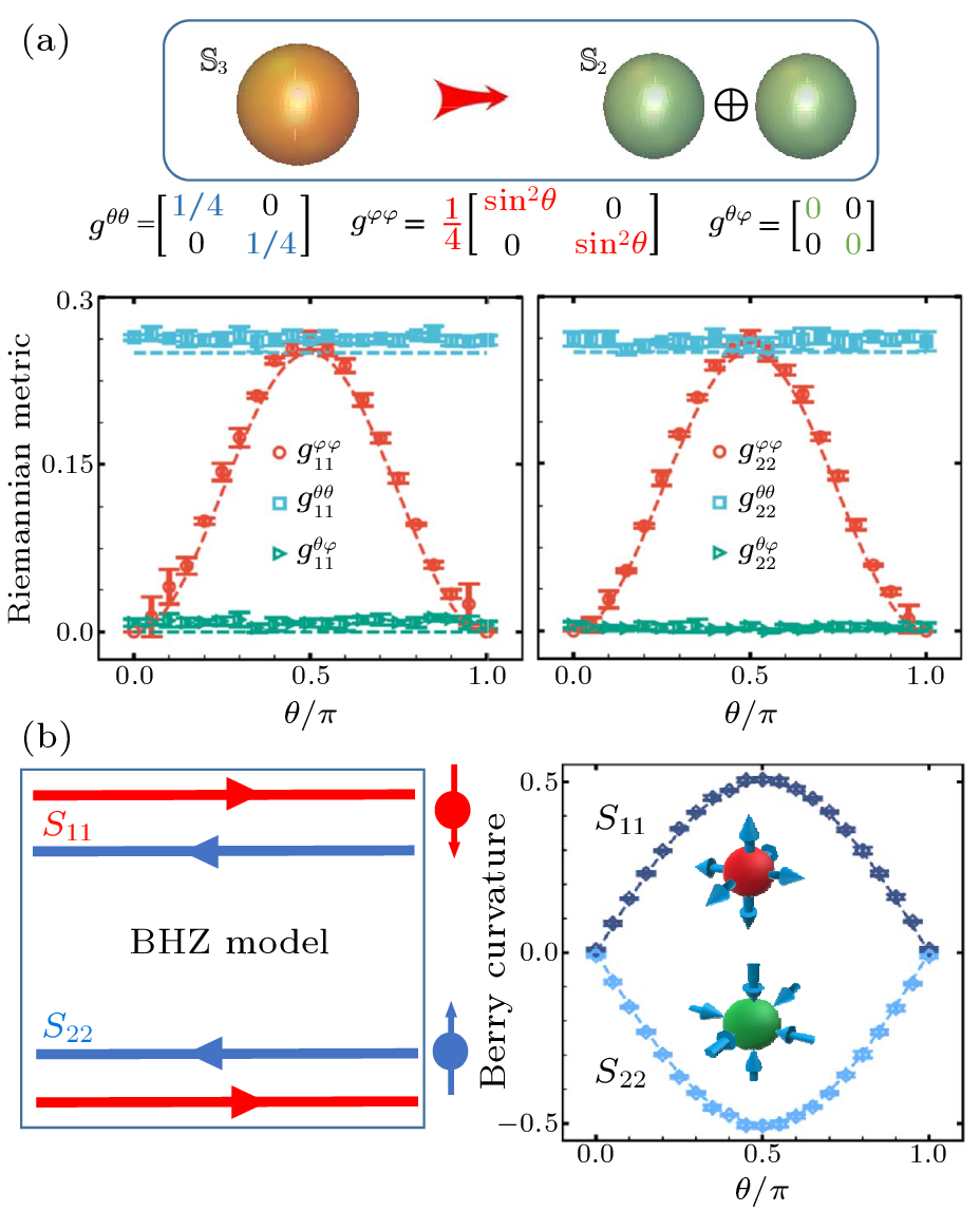 cpl-39-10-100202-fig4.png