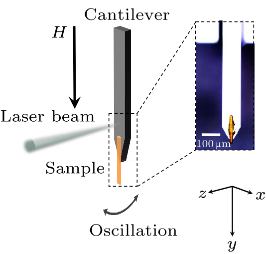 cpl-39-3-037501-fig1.png