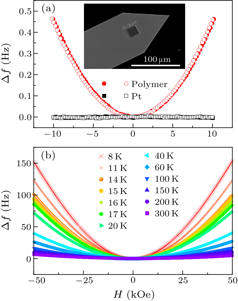 cpl-39-3-037501-fig3.png