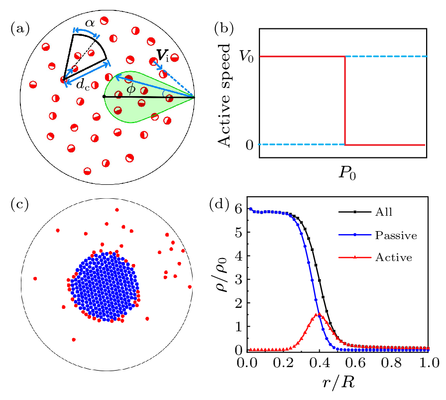 cpl-40-10-100505-fig1.png