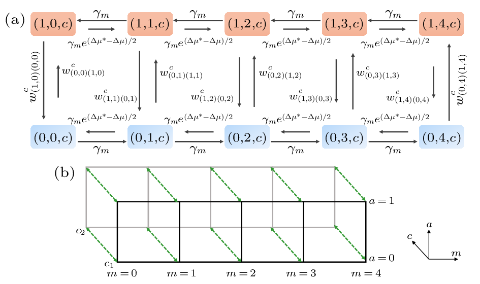 cpl-40-11-110501-fig3.png