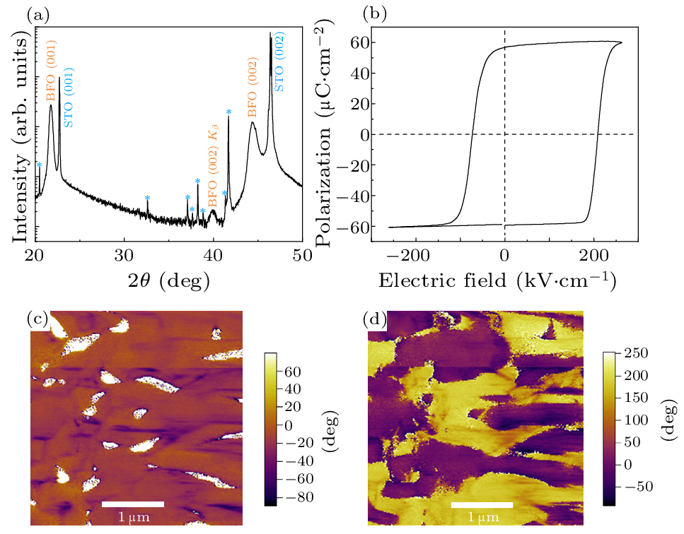 cpl-40-11-117402-fig1.png