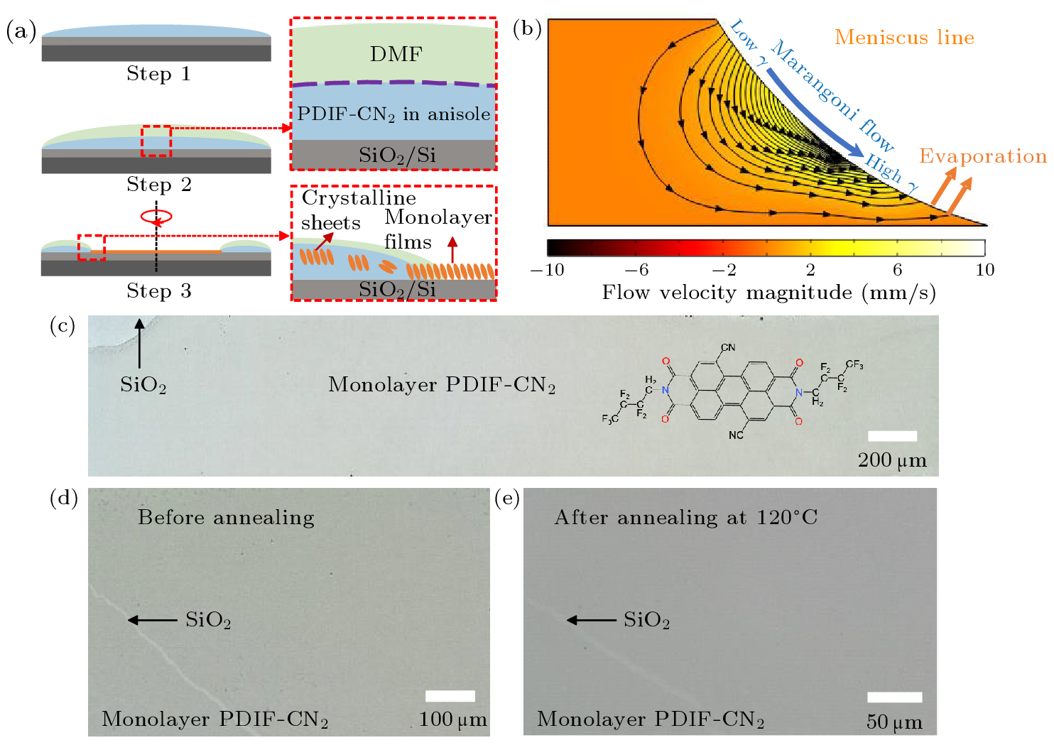 cpl-40-3-038101-fig1.png