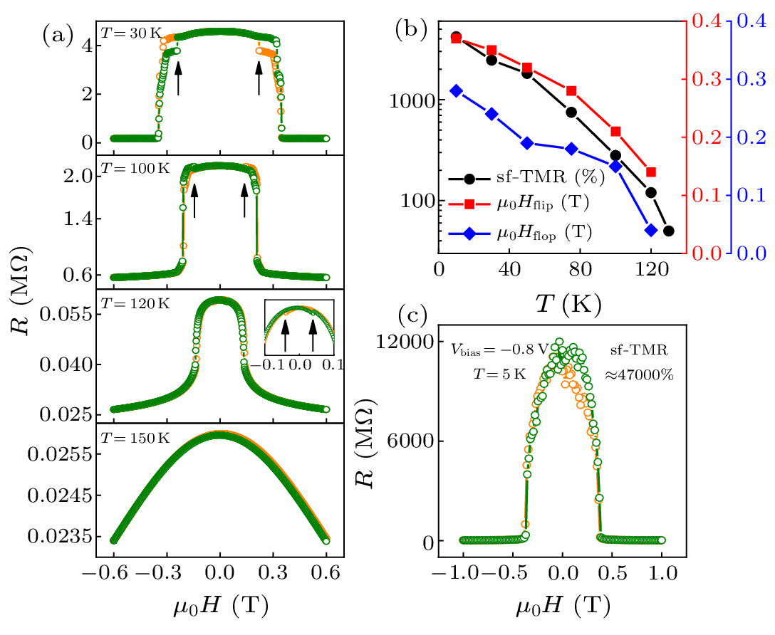 cpl-40-5-058501-fig4.png