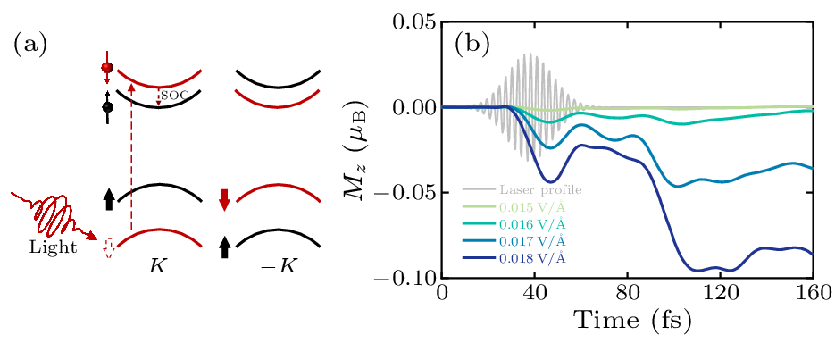 cpl-40-7-077502-fig1.png