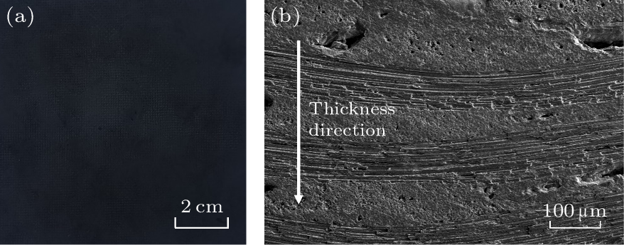 cpl-41-3-034401-fig1.png