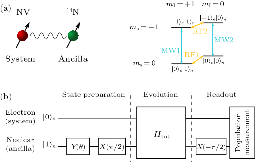 cpl-41-5-050301-fig1.png