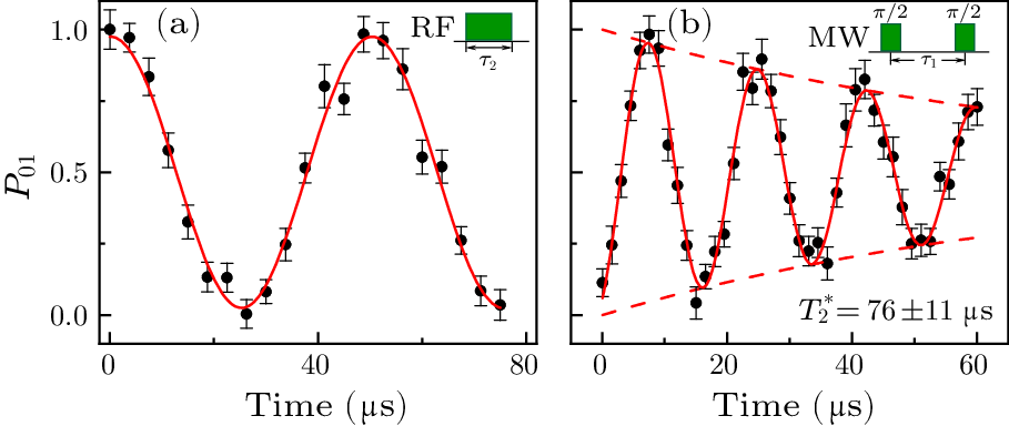 cpl-41-5-050301-fig2.png