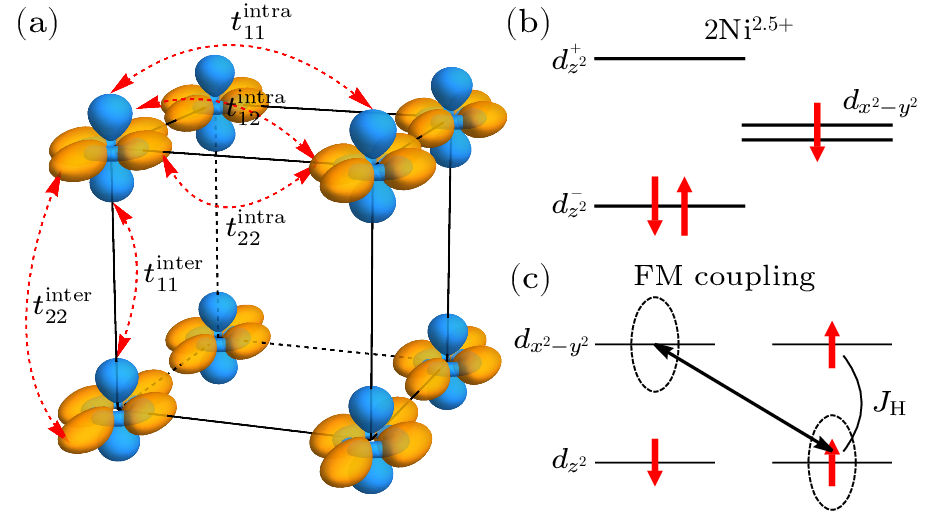 cpl-41-5-057403-fig1.png