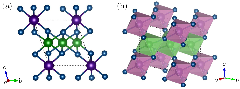 cpl-41-5-058201-fig1.png