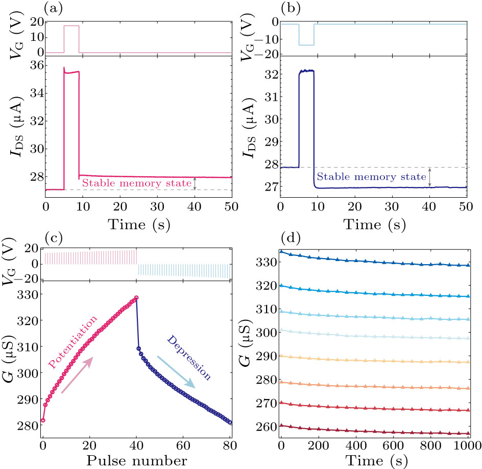 Moiré Synaptic Transistor for Homogeneous-Architecture