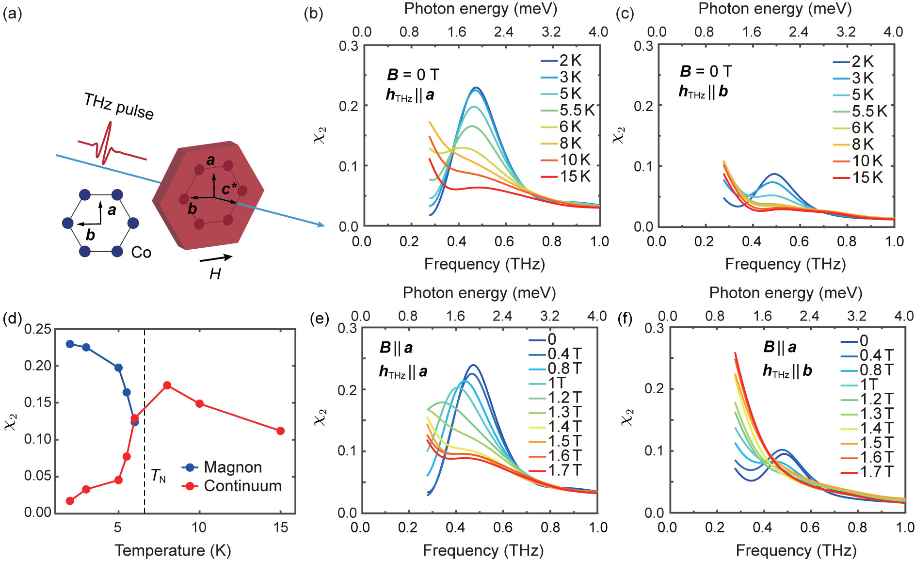 Field-Induced Spin Continuum in Twin-Free Na3Co2SbO6 Revealed by