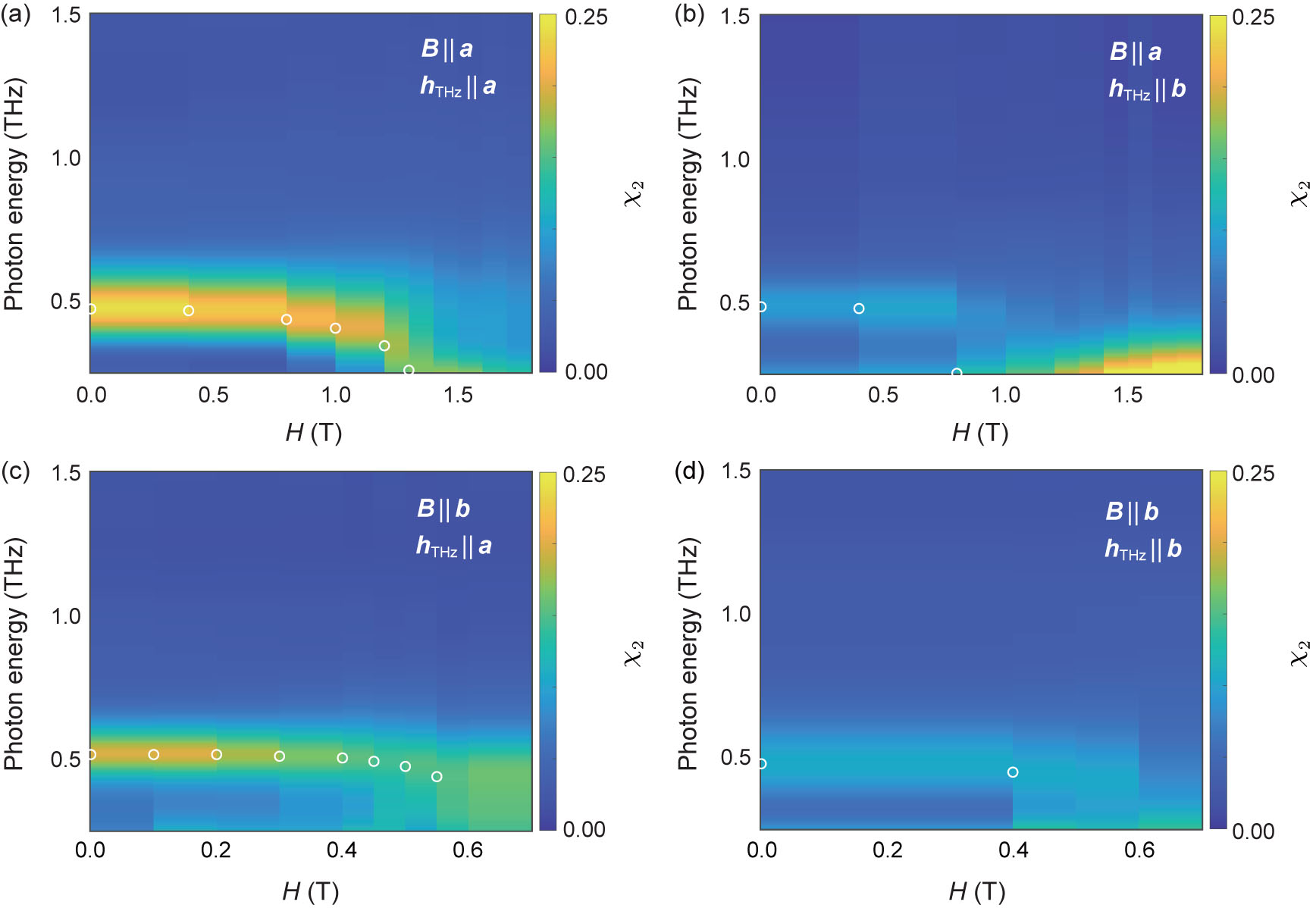 Field-Induced Spin Continuum in Twin-Free Na3Co2SbO6 Revealed by