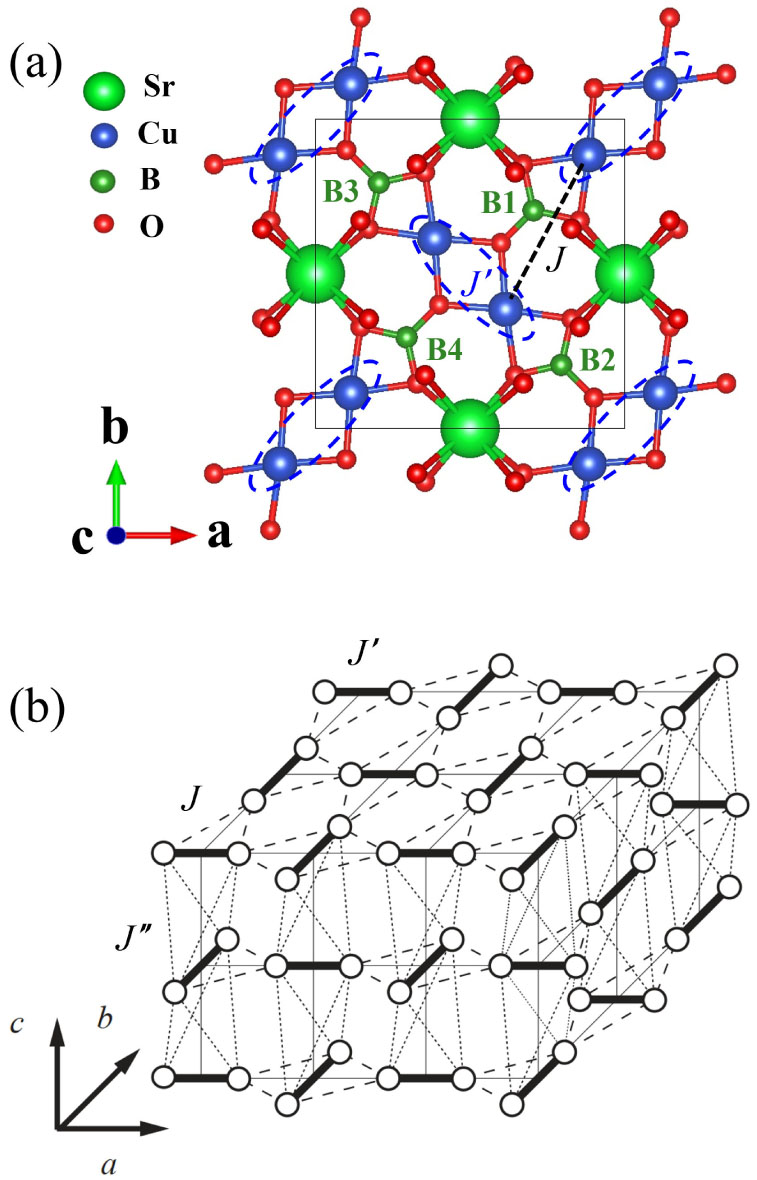 Deconfined Quantum Critical Point: A Review of Progress