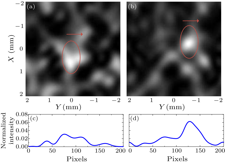 cpl-33-11-114301-fig3.png