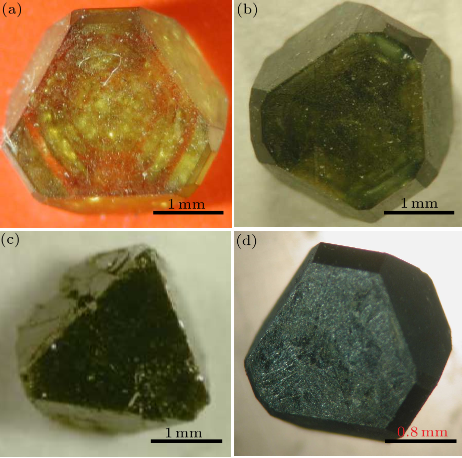 cpl-33-2-028101-fig1.png