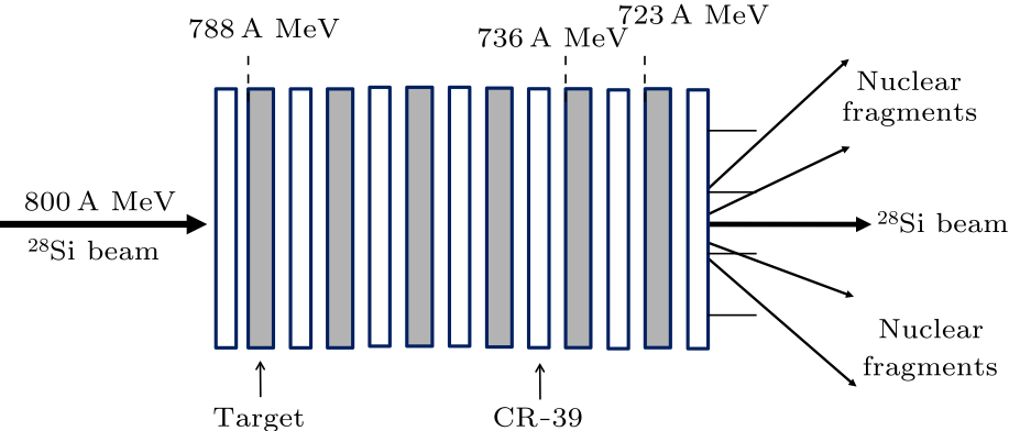 cpl-34-10-102501-fig1.png