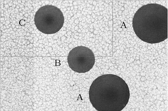 cpl-34-10-102501-fig2.png