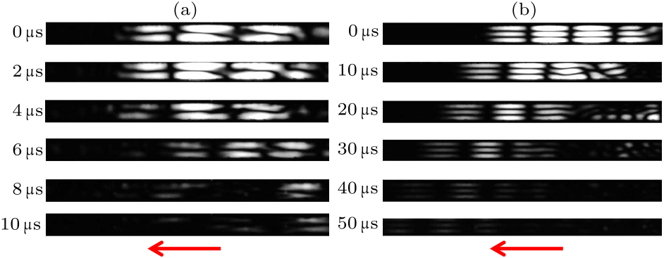 cpl-34-11-114301-fig3.png