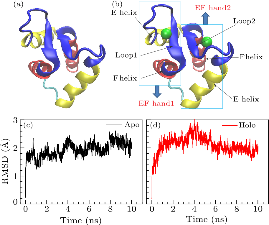 cpl-34-6-068701-fig1.png