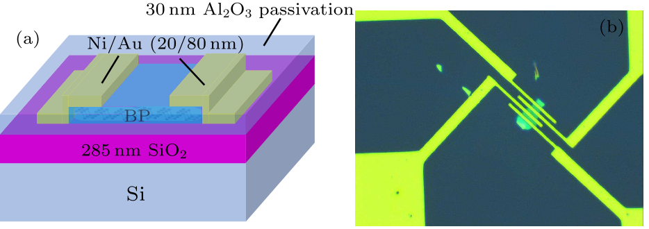 cpl-35-12-127302-fig1.png