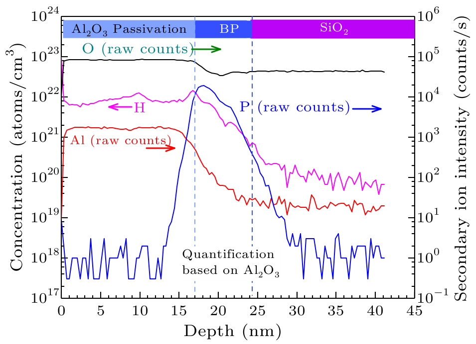 cpl-35-12-127302-fig5.png
