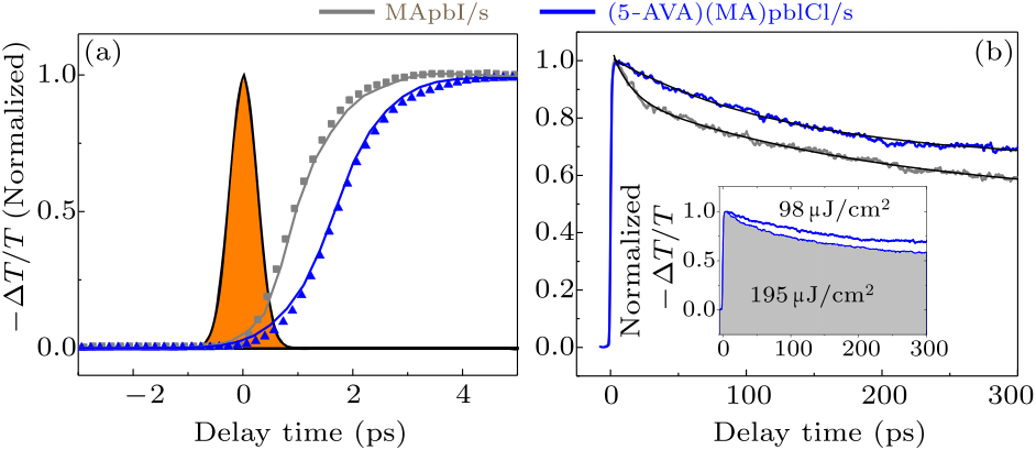 cpl-36-2-028401-fig3.png