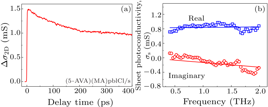 cpl-36-2-028401-fig5.png